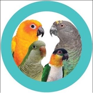 SUPER BIRD CREATIONS Super Bird Creations SB-1202 Rainbow Aglets Small 14 x 2 x 2"