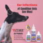 ZYMOX Enzymatic Ear Solution with 0.5% Hydrocortisone, Authentic Product 1.25 oz USA Made