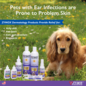 Zymox Ear Solution without Hydrocortisone 1.25oz