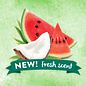 TROPICLEAN TropiClean Watermelon Refreshing 2-in-1 Pet Shampoo and Conditioner
