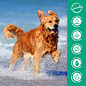 TROPICLEAN TropiClean Watermelon Refreshing 2-in-1 Pet Shampoo and Conditioner