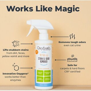 OXYFRESH Oxyfresh Advanced All-Surface Pet Stain Remover & Urine Odor Eliminator, 16-fl oz bottle