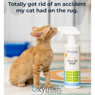 OXYFRESH Oxyfresh Advanced All-Surface Pet Stain Remover & Urine Odor Eliminator, 16-fl oz bottle