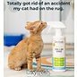 OXYFRESH Oxyfresh Advanced All-Surface Pet Stain Remover & Urine Odor Eliminator, 16-fl oz bottle