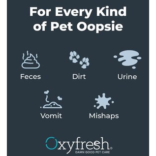 OXYFRESH Oxyfresh Advanced All-Surface Pet Stain Remover & Urine Odor Eliminator, 16-fl oz bottle