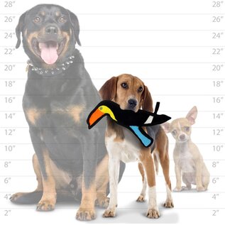 TUFFY Junior Toucan - Squeakers Interactive Play (Tug, Toss & Fetch).