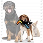 TUFFY Junior Toucan - Squeakers Interactive Play (Tug, Toss & Fetch).