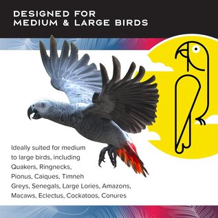 CAITEC Caitec Featherland Paradise Knots N Blocks Bird Toy Large 16" X 6"