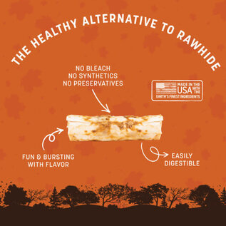 EARTH ANIMAL Earth Animal No-Hide® Seasonal Collection Pumpkin Spice Rolls Medium