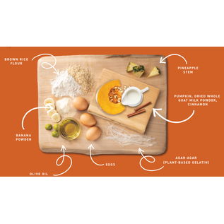 EARTH ANIMAL Earth Animal No-Hide® Seasonal Collection Pumpkin Spice Rolls Medium