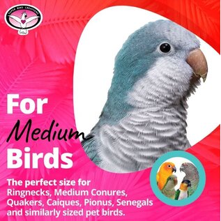 SUPER BIRD CREATIONS Super Bird SB-1181 Haystack Bird Toy