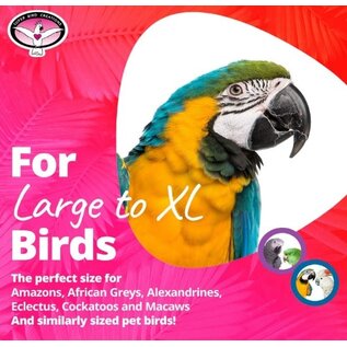 SUPER BIRD CREATIONS BUNGEE with Bell EXTRA LARGE 1 3/4" X 97"