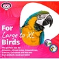 SUPER BIRD CREATIONS BUNGEE with Bell EXTRA LARGE 1 3/4" X 97"