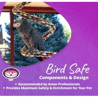 SUPER BIRD CREATIONS BUNGEE with Bell EXTRA LARGE 1 3/4" X 97"