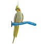 Patented Safety Pumice Perch Small Assorted Colors