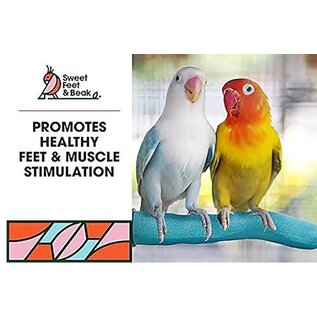 Patented Safety Pumice Perch Small Assorted Colors
