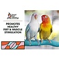 Patented Safety Pumice Perch Small Assorted Colors
