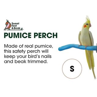 Patented Safety Pumice Perch Small Assorted Colors