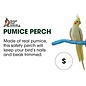 Patented Safety Pumice Perch Small Assorted Colors