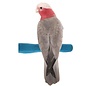 Pedicure Safety Perch Medium Assorted Colors