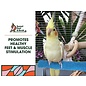 Pedicure Safety Perch Medium Assorted Colors