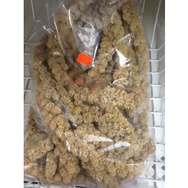 HIGGINS Higgins Spray Millet Bulk Large Bag 1# single