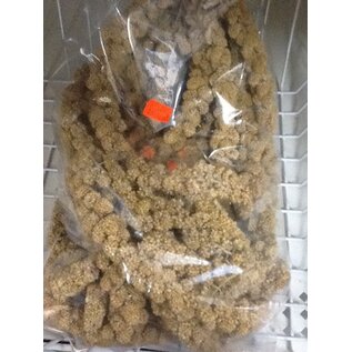 HIGGINS Higgins Spray Millet Bulk Large Bag 1# single
