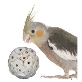 JUNGLE JUNCTION Sola Atta Ball 3.2"Natural Chewable Bird Toy Each