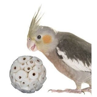 JUNGLE JUNCTION Sola Atta Ball 3.2"Natural Chewable Bird Toy Each