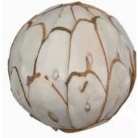 JUNGLE JUNCTION Sola Chip Ball 3.2"Natural Botanical Chewable Bird Toy Each