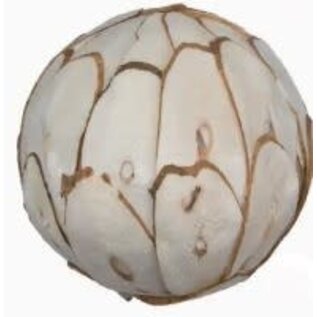 JUNGLE JUNCTION Sola Chip Ball 3.2"Natural Botanical Chewable Bird Toy Each