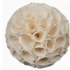 JUNGLE JUNCTION Sola Crepe Ball 3.2"Natural Botanical Chewable Bird Toy Each