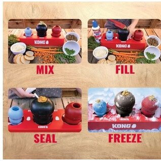 KONG KONG Fill or Freeze Tray