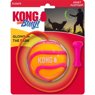 KONG KONG Bunji High-Viz Ball Dog Toy Assorted Large