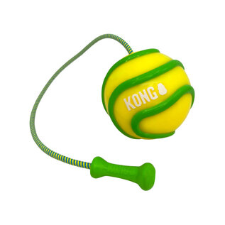 KONG KONG BUNJI HIGH-VIZ BALL ASSORTED
