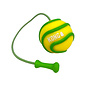 KONG KONG BUNJI HIGH-VIZ BALL ASSORTED