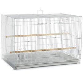 A&E CAGE COMPANY A&E ECONOMY 503 FLIGHT BIRD CAGE 24x16x16