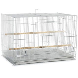 A&E CAGE COMPANY A&E ECONOMY FLIGHT BIRD CAGE 24x16x16
