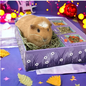 SWEET MEADOW FARM Sweet Meadow Farm Bunny Bento Box Western Timothy, Papaya & Marigold Small Pet Treat, 10-oz box