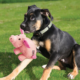 KONG KONG PHATZ PIG MEDIUM DOG TOY