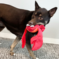 KONG KONG  SHAKERS SHIMMY CRAB MEDIUM DOG TOY