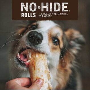 EARTH ANIMAL Earth Animal Dog No-Hide Medium Rolls Natural Rawhide Alternative Peanut Butter  Chew, 3 pack