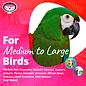 SUPER BIRD CREATIONS Super Bird Creations SB1215 Screwball Interactive Mechanical Bird Toy