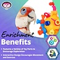 SUPER BIRD CREATIONS Super Bird Creations SB1215 Screwball Interactive Mechanical Bird Toy