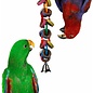 SUPER BIRD CREATIONS Super Bird Creations SB-626 Hoopla  15" x 2.5"