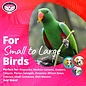 SUPER BIRD CREATIONS Super Bird Creations SB-708 Wind Chimes w/ Colorful Straws & Bell - 13" x 2"