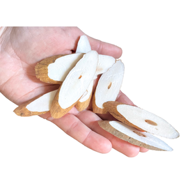 JUNGLE JUNCTION Sola Slices Natural Chewable Bird Toy Bulk Bag