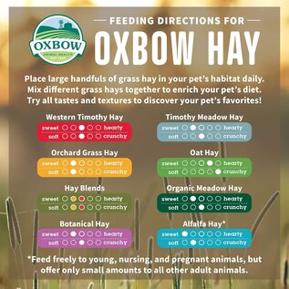 OXBOW Oxbow Animal Health Oxbow Hay Blends - Western Timothy & Orchard - 90 oz.
