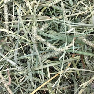OXBOW Oxbow Animal Health Oxbow Hay Blends - Western Timothy & Orchard - 90 oz.