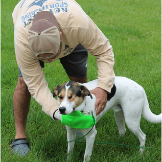 TiCK MiTT TiCK MiTT Microfiber Tick Remover for Dogs & Cats, Green